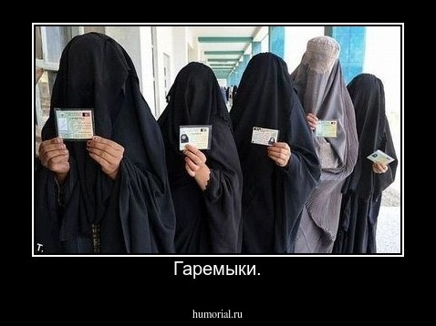 Гаремыки.