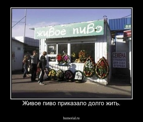 Живое пиво приказало долго жить.