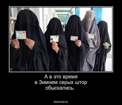 А в это время в Зимнем серых штор обыскались.