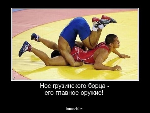 Нос грузинского борца - его главное оружие!