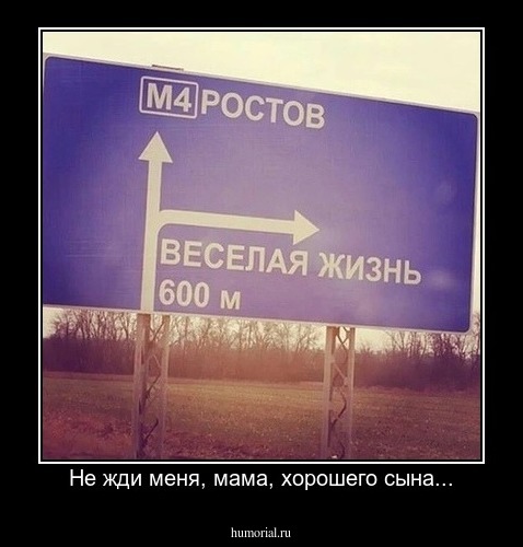 Не жди меня, мама, хорошего сына...