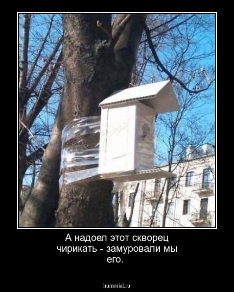 А надоел этот скворец чирикать - замуровали мы его. 