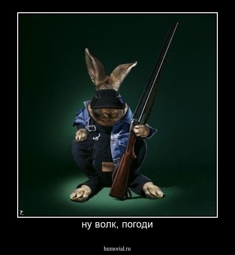ну волк, погоди