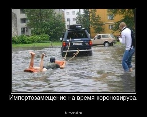 Импортозамещение на время короновируса.