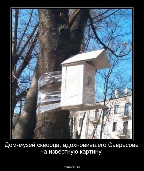 Дом-музей скворца, вдохновившего Саврасова на известную картину