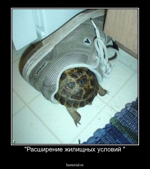 "Расширение жилищных условий "
