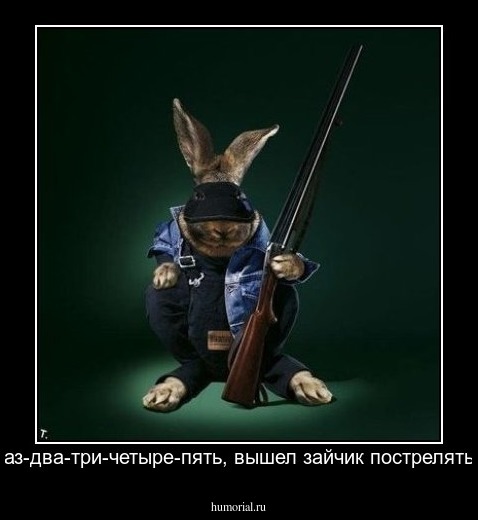 раз-два-три-четыре-пять, вышел зайчик пострелять!