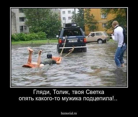 Гляди, Толик, твоя Светка  опять какого-то мужика подцепила!..