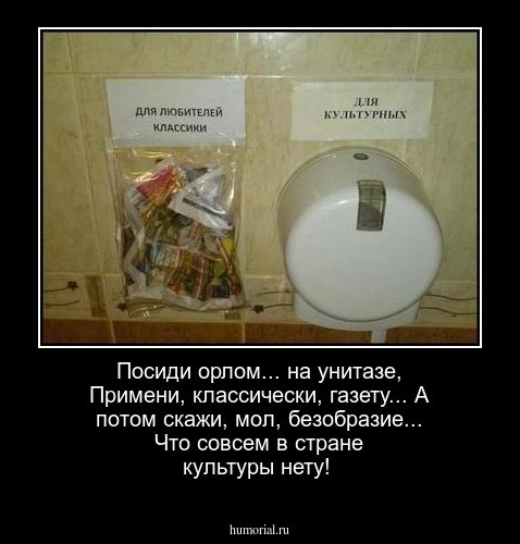 Посиди орлом... на унитазе, Примени, классически, газету... А потом скажи, мол, безобразие... Что совсем в стране культуры нету!