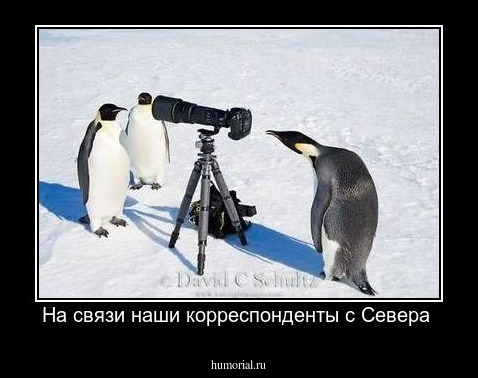 На связи наши корреспонденты с Севера 