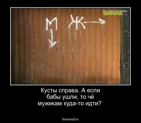 Кусты справа. А если бабы ушли, то чё мужикам куда-то идти?