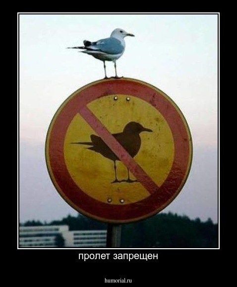 пролет запрещен