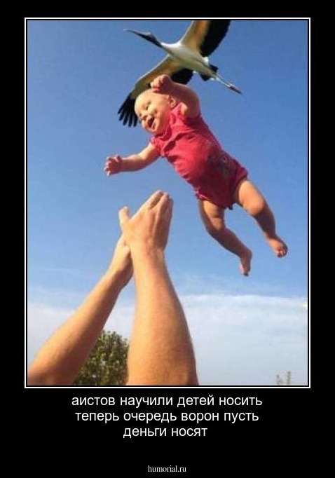 аистов научили детей носить теперь очередь ворон пусть деньги носят 