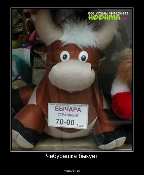 Чебурашка быкует
