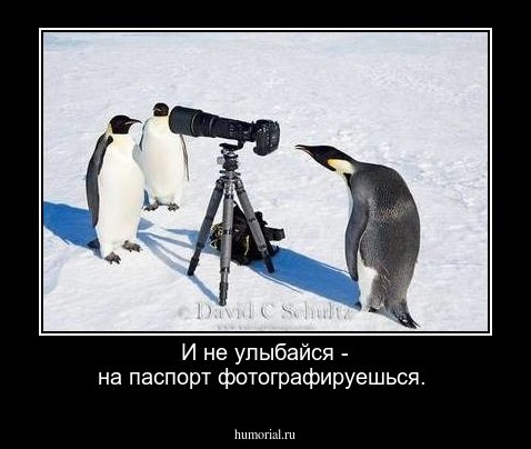 И не улыбайся - на паспорт фотографируешься.
