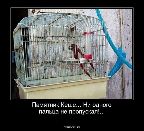 Памятник Кеше...  Ни одного пальца не пропускал!..