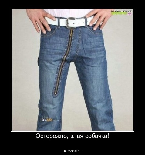 Осторожно, злая собачка!