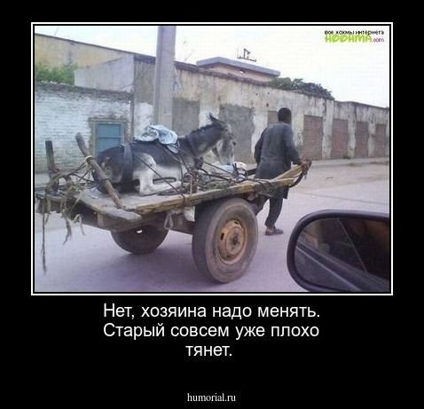 Нет, хозяина надо менять. Старый совсем уже плохо тянет.