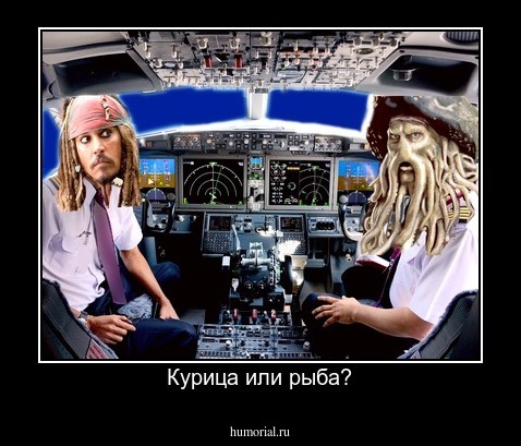 Курица или рыба?