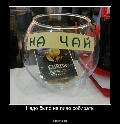 Надо было на пиво собирать