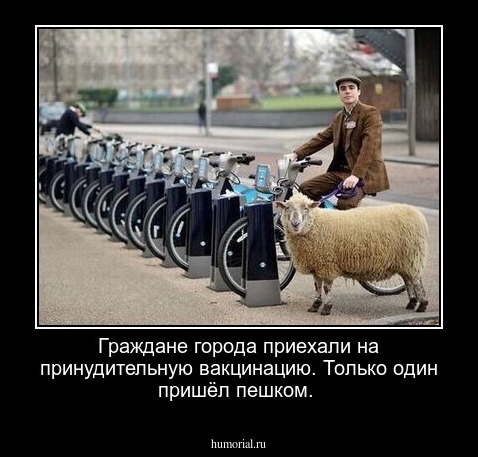 Граждане города приехали на принудительную вакцинацию. Только один пришёл пешком.