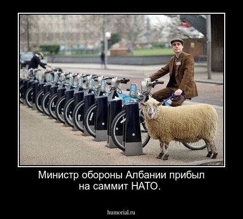 Министр обороны Албании прибыл на саммит НАТО.