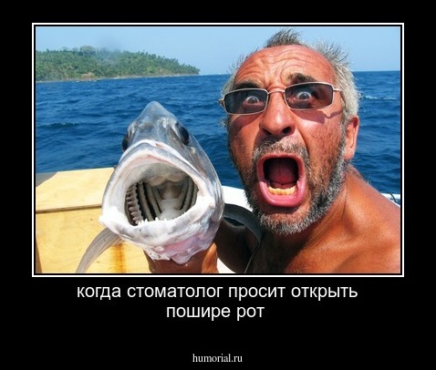 когда стоматолог просит открыть пошире рот