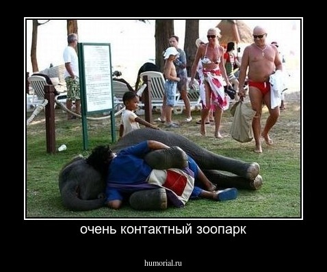 очень контактный зоопарк
