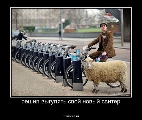 решил выгулять свой новый свитер