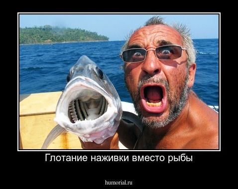 Глотание наживки вместо рыбы