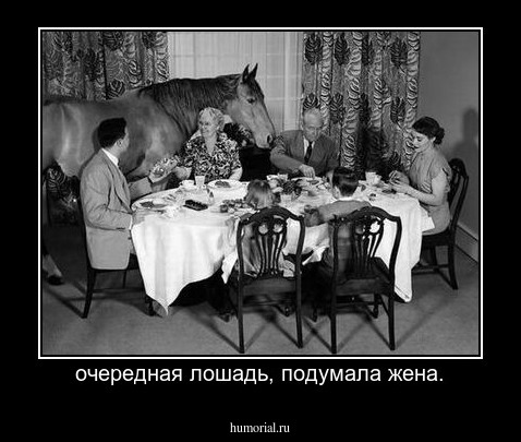 очередная лошадь, подумала жена.