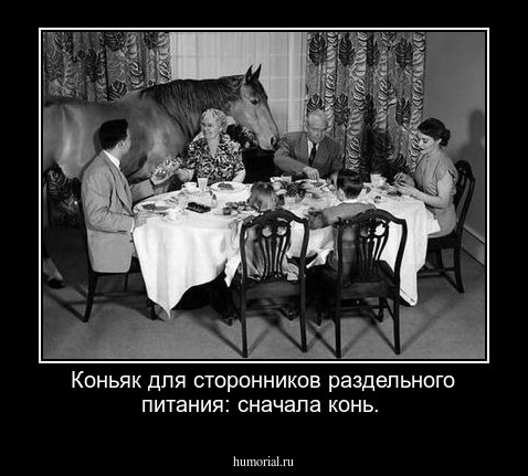 Коньяк для сторонников раздельного питания: сначала конь.