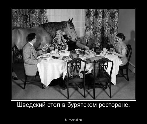 Шведский стол в бурятском ресторане.