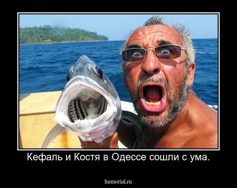 Кефаль и Костя в Одессе сошли с ума.