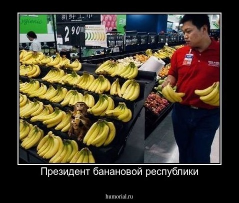 Президент банановой республики