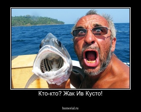 Кто-кто? Жак Ив Кусто!