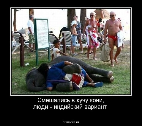 Смешались в кучу кони, люди - индийский вариант