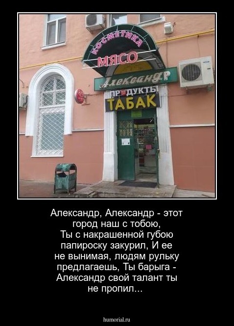 Александр, Александр - этот город наш с тобою, Ты с накрашенной губою папироску закурил, И ее не вынимая, людям рульку предлагаешь, Ты барыга - Александр свой талант ты не пропил...