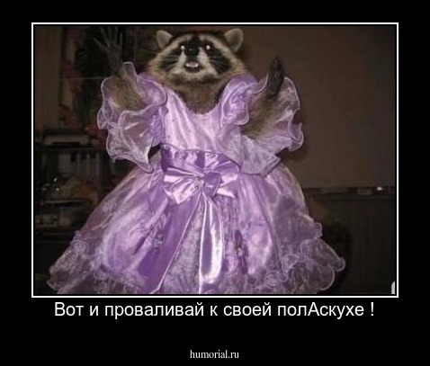 Вот и проваливай к своей полАскухе !