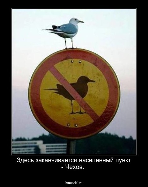 Здесь заканчивается населенный пункт - Чехов.