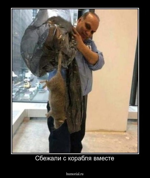 Сбежали с корабля вместе