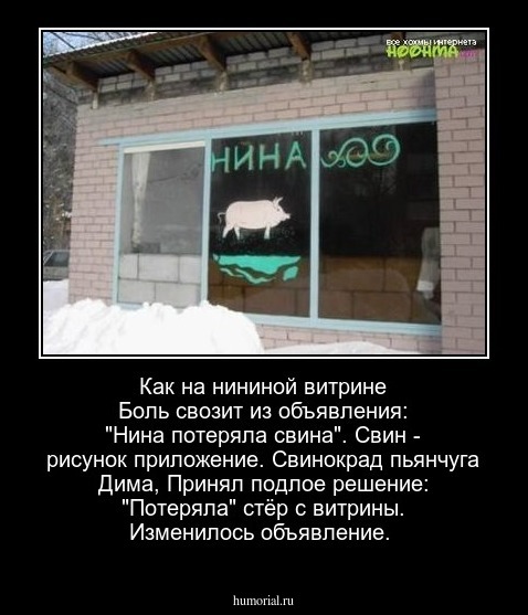 Как на нининой витрине
Боль свозит из объявления:
"Нина потеряла свина". 
Свин - рисунок приложение. 
Свинокрад пьянчуга Дима, 
Принял подлое решение:
"Потеряла" стёр с витрины. 
Изменилось объявление. 

