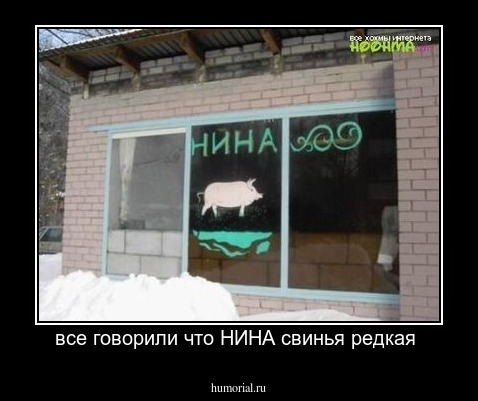 все говорили что НИНА свинья редкая 