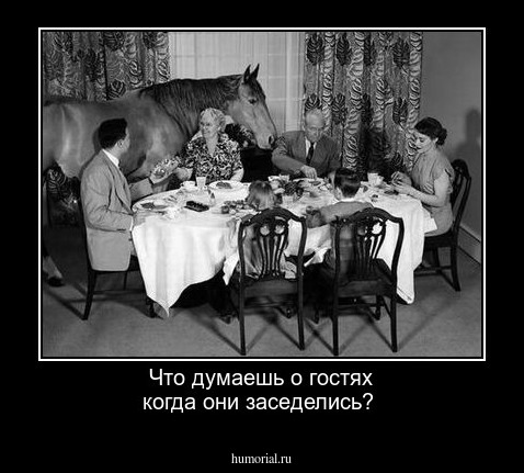 Что думаешь о гостях когда они заседелись?