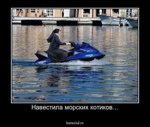 Навестила морских котиков...