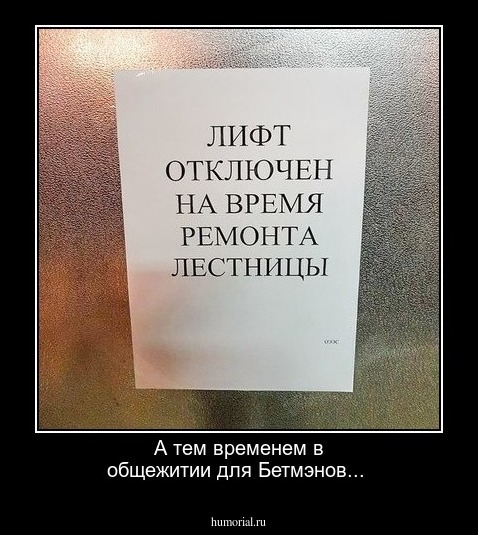 А тем временем в общежитии для Бетмэнов...