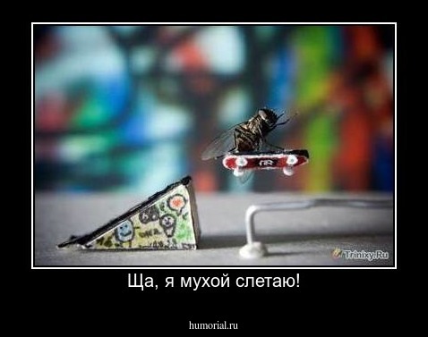 Ща, я мухой слетаю!