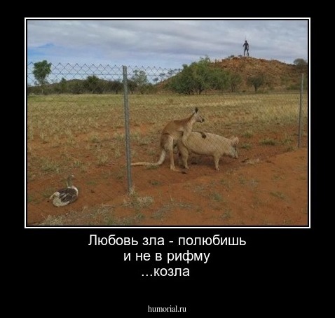 Любовь зла - полюбишь и не в рифму ...козла