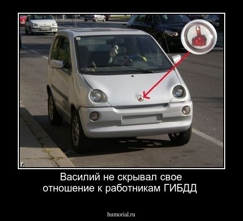 Василий не скрывал свое отношение к работникам ГИБДД