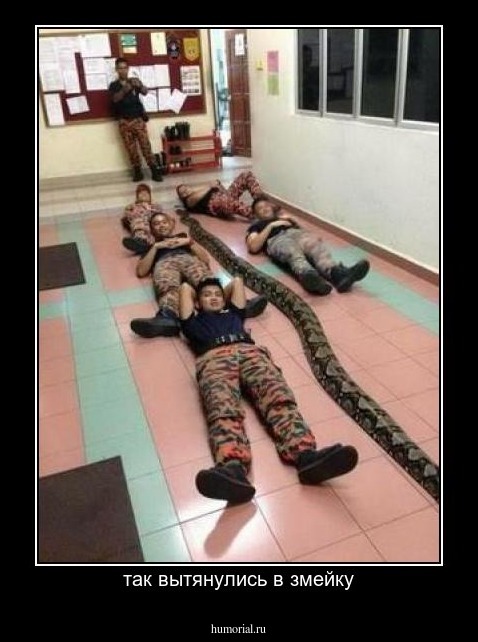 так вытянулись в змейку